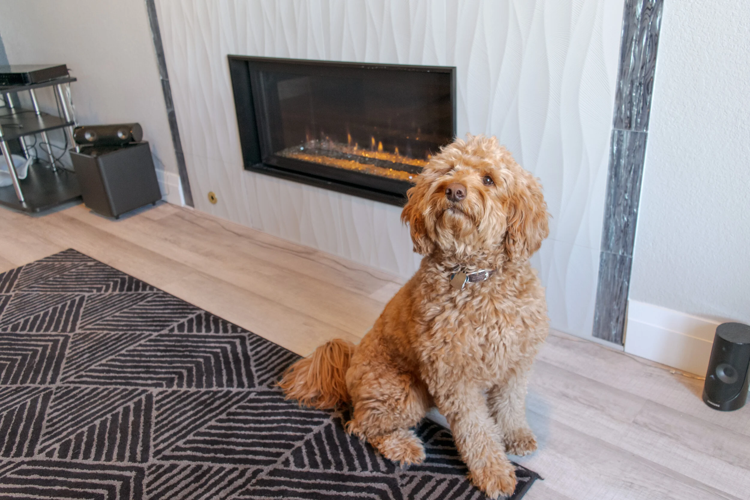 FireplaceX 3615 — Gas Fireplace